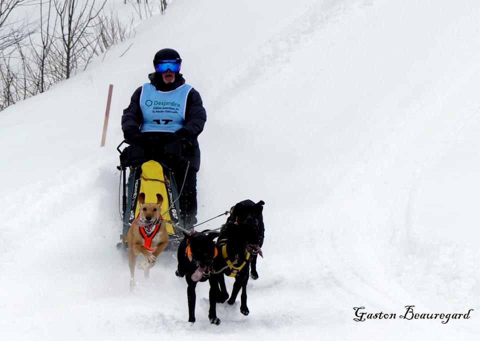 Visitez la section de PHOTOS
